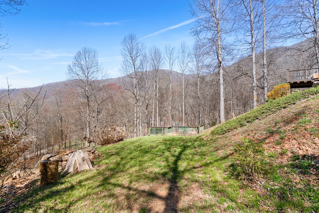961 South Brooks Cove Road Hayesville, NC 28904 - Photo 52 of 55 a view of a backyard