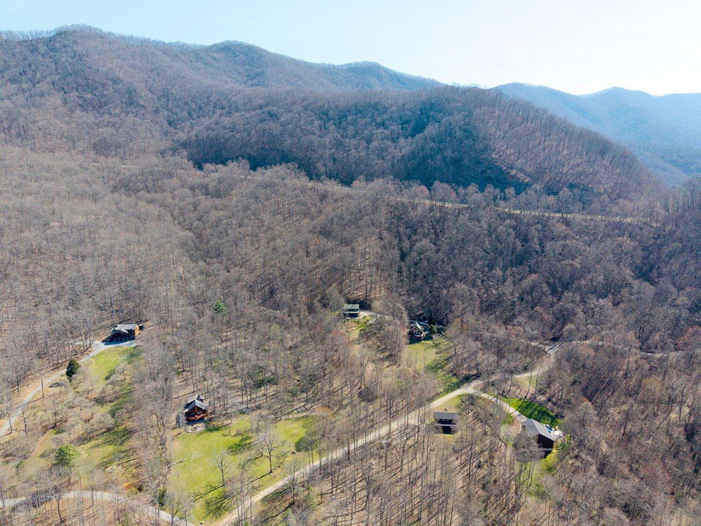 961 South Brooks Cove Road Hayesville, NC 28904 - Photo 55 of 55 a view of a dry field