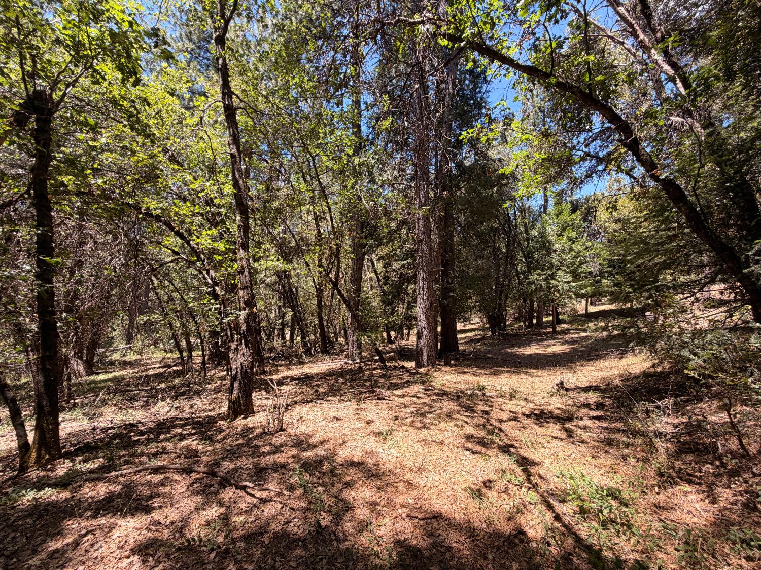 16404 Greenhorn Road Grass Valley, CA 95945 - Photo 5 of 25