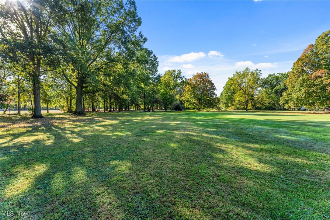 35221 Chestnut Ridge Road North Ridgeville, OH 44039 - Photo 20 of 48 View of grassy yard