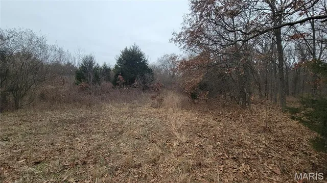 $140,000 | Tract 3 Valley Farm Lane, Warrenton, MO 63383