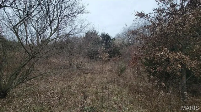 $140,000 | Tract 3 Valley Farm Lane, Warrenton, MO 63383