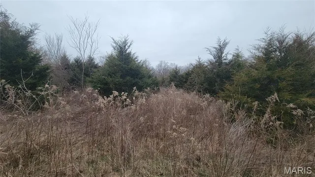 $140,000 | 3 Valley Farm, Warrenton, MO 63383