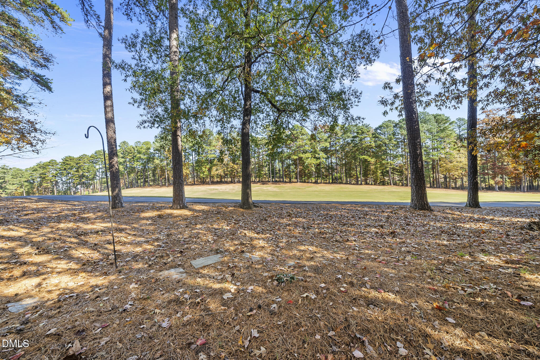 305 Ridge Creek Drive Morrisville, NC 27560 - Photo 35 of 43 DSC06257