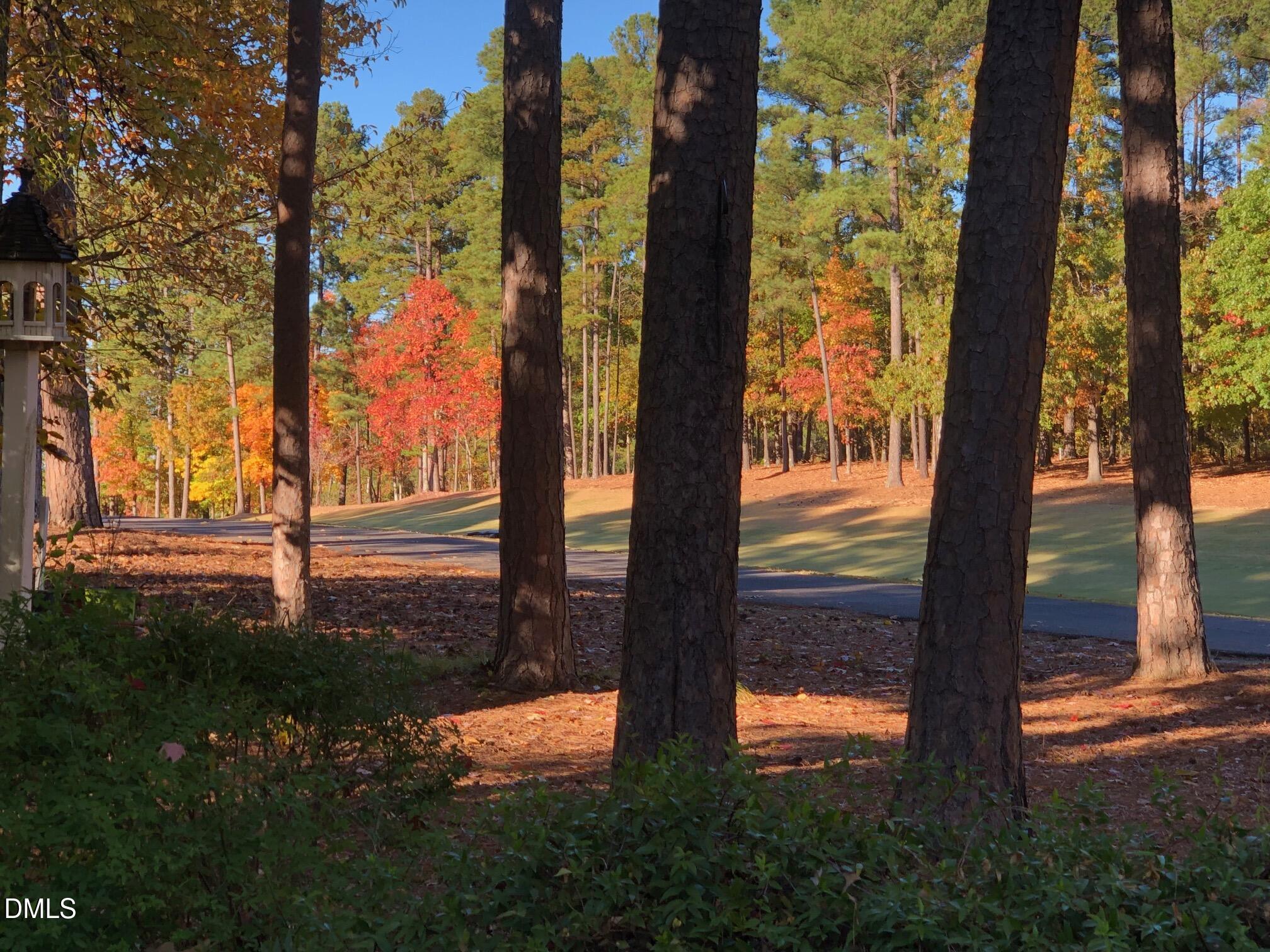 305 Ridge Creek Drive Morrisville, NC 27560 - Photo 38 of 43 a view of swimming pool from a yard
