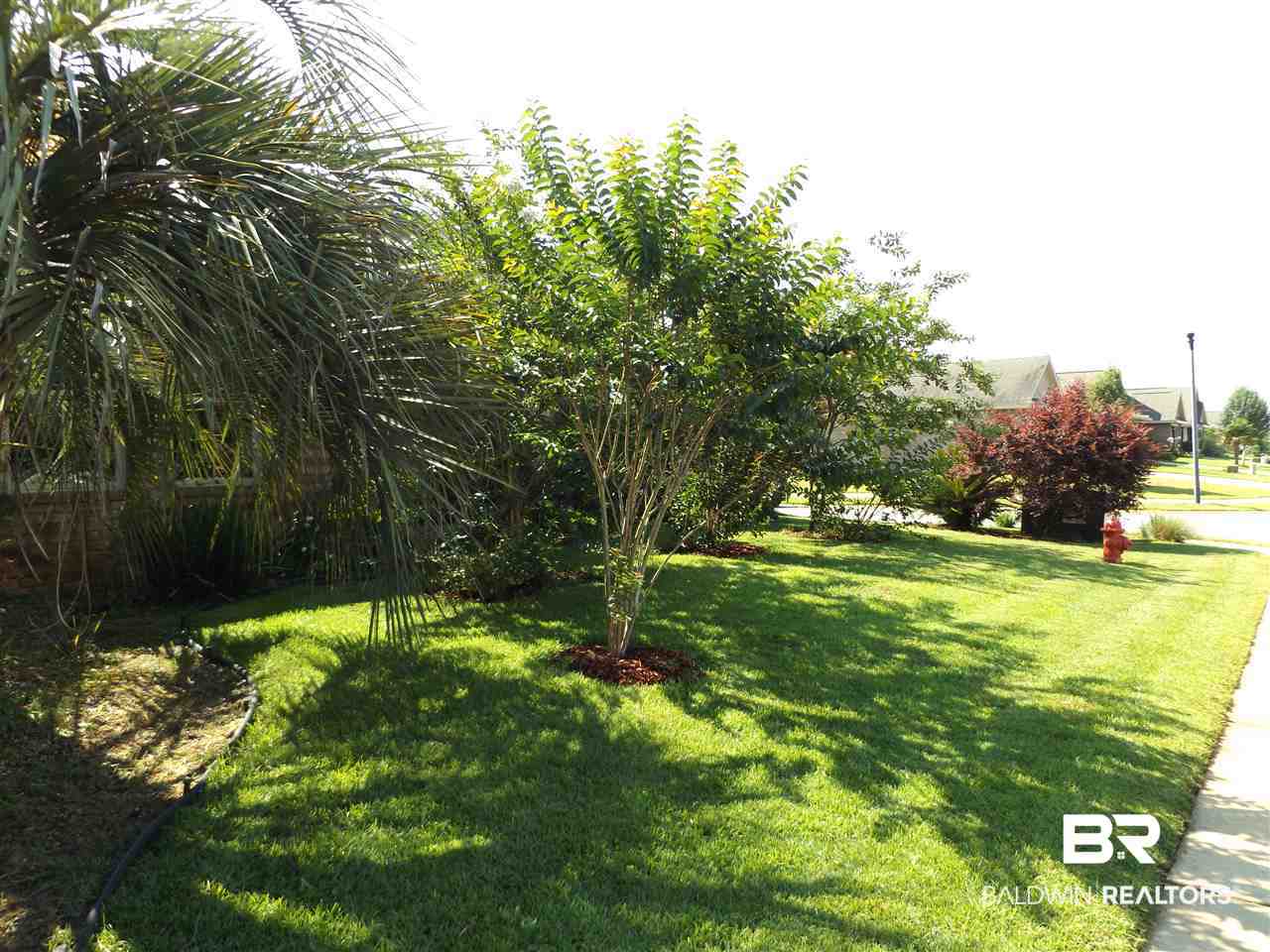641 Beignet Drive Foley, AL 36535 - Photo 3 of 50