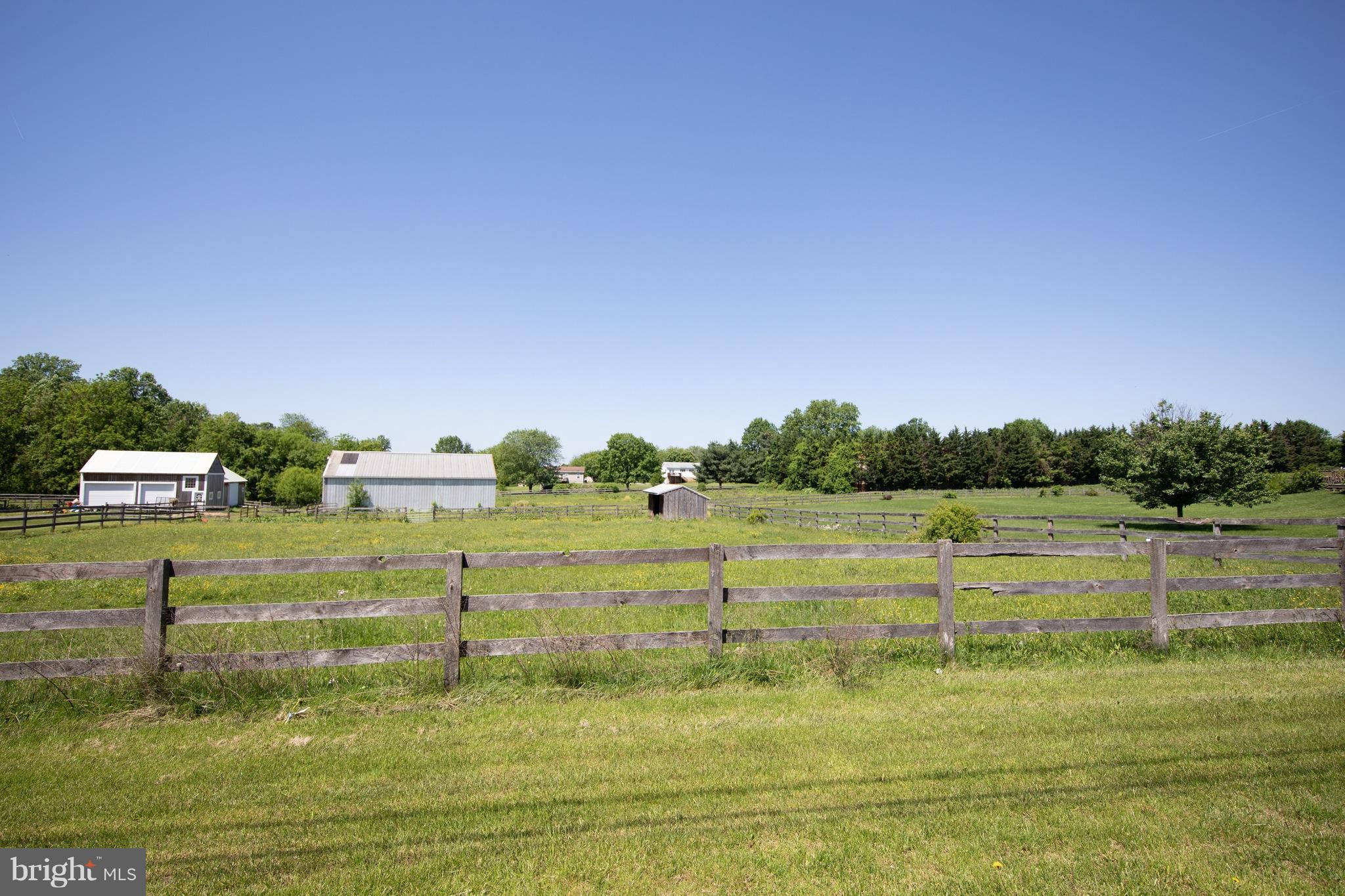 542 Harrisville Road Colora, MD 21917 - Photo 4 of 30 View of neighboring pasture from front porch