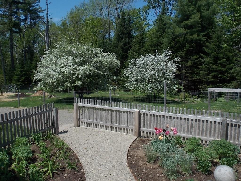 912 Great Pond Road Aurora, ME 04408 - Photo 11 of 21 Photo