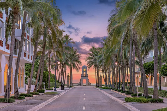 a view of a palm trees on a sidewalk