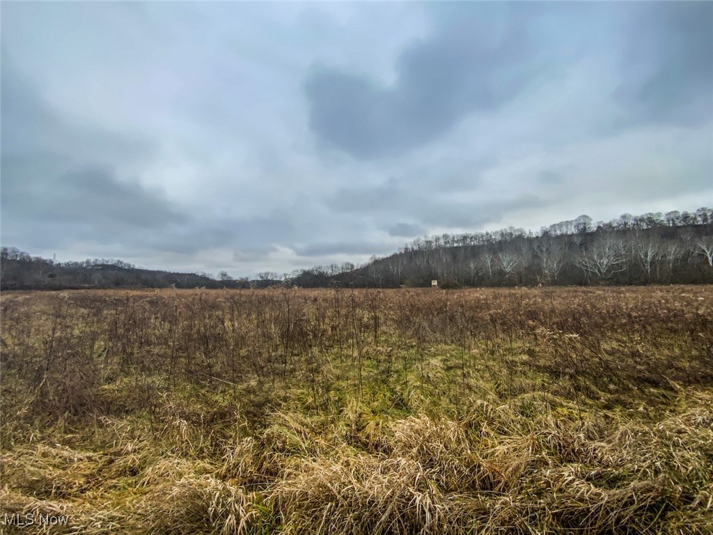 0 Wells Road Middleport, OH 45760 - Photo 4 of 27
