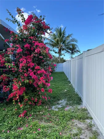 a view of a flower in a garden