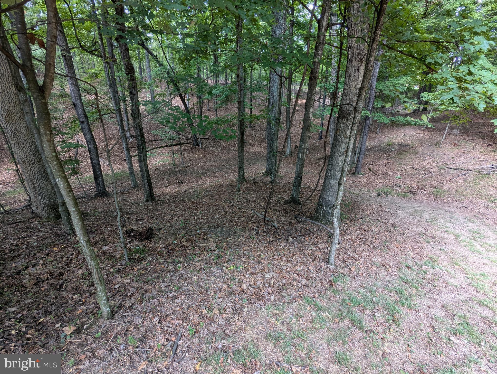 13638 Orchard Ridge Road Hancock, MD 21750 - Photo 6 of 13 Gallery Image 6