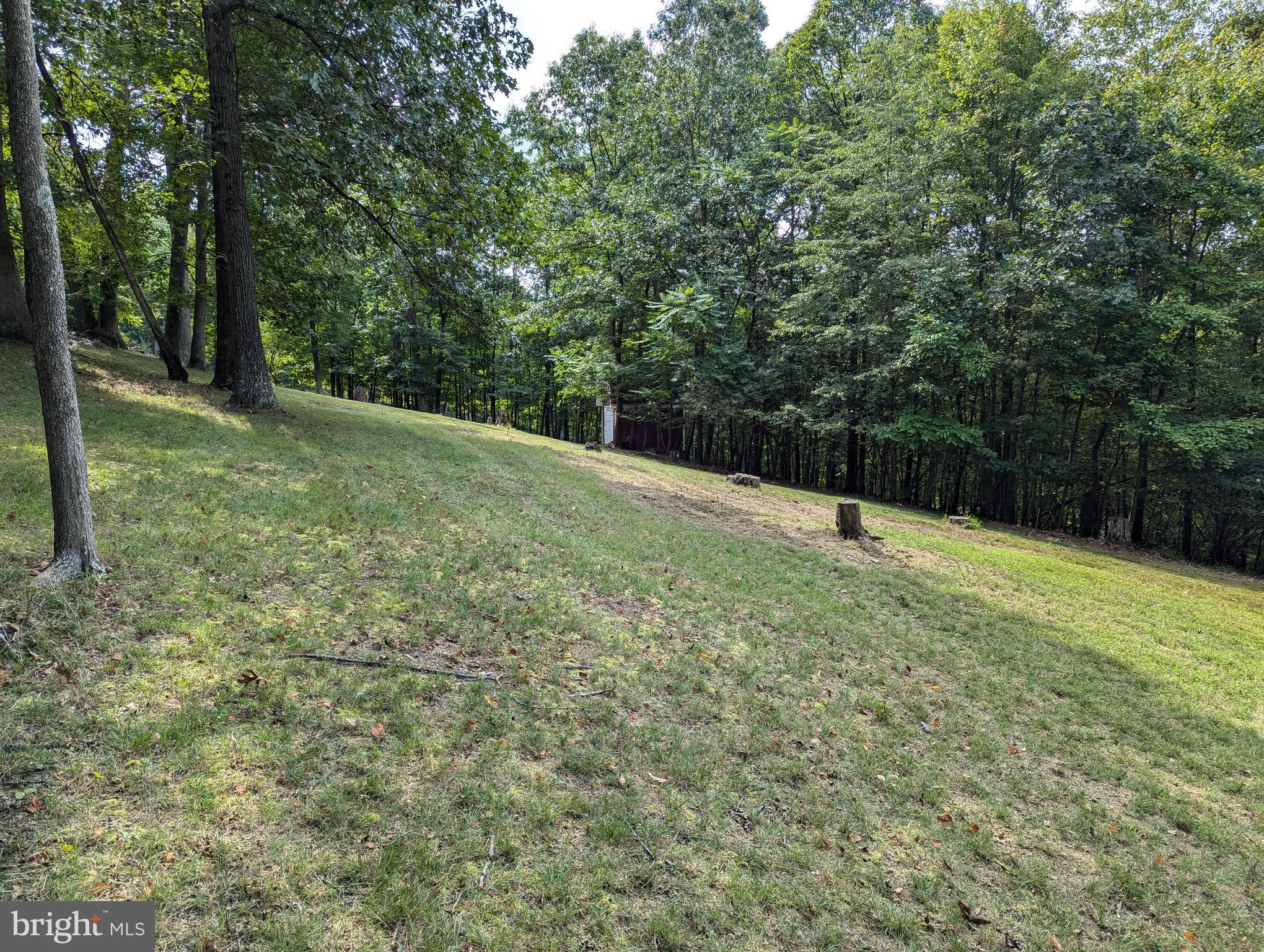 13638 Orchard Ridge Road Hancock, MD 21750 - Photo 7 of 13 Gallery Image 7