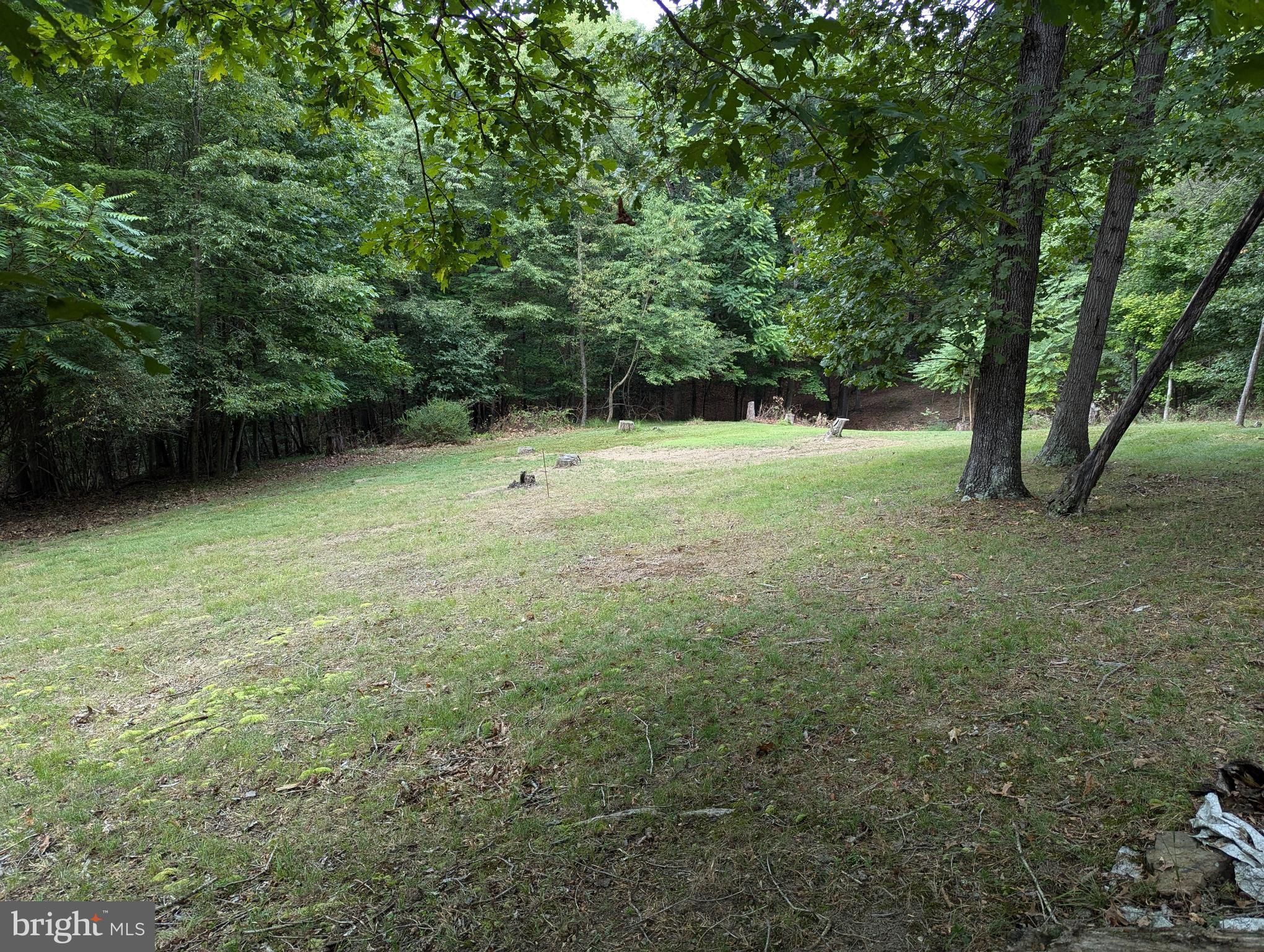 13638 Orchard Ridge Road Hancock, MD 21750 - Photo 8 of 13 Gallery Image 8