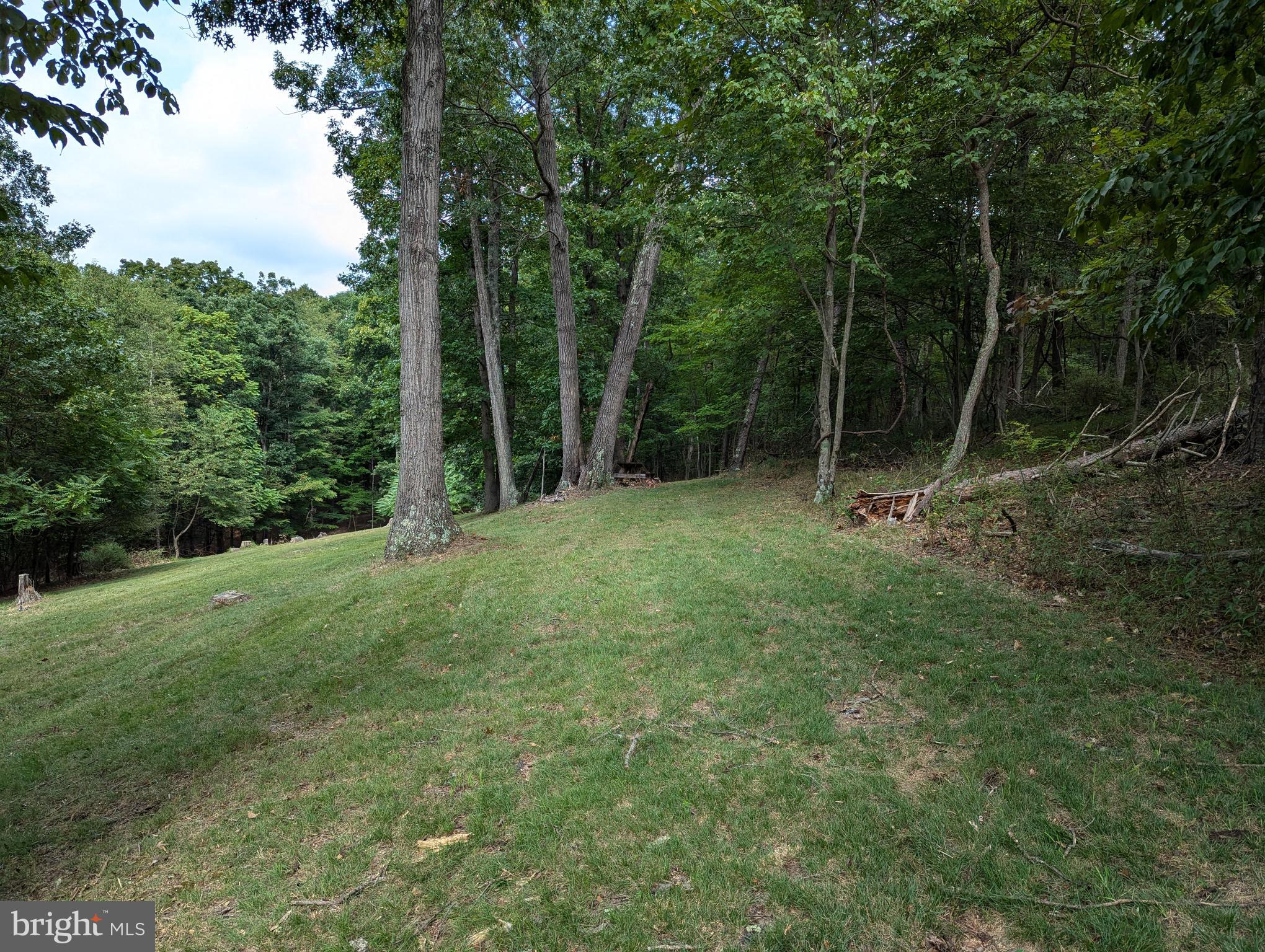 13638 Orchard Ridge Road Hancock, MD 21750 - Photo 10 of 13 Gallery Image 10