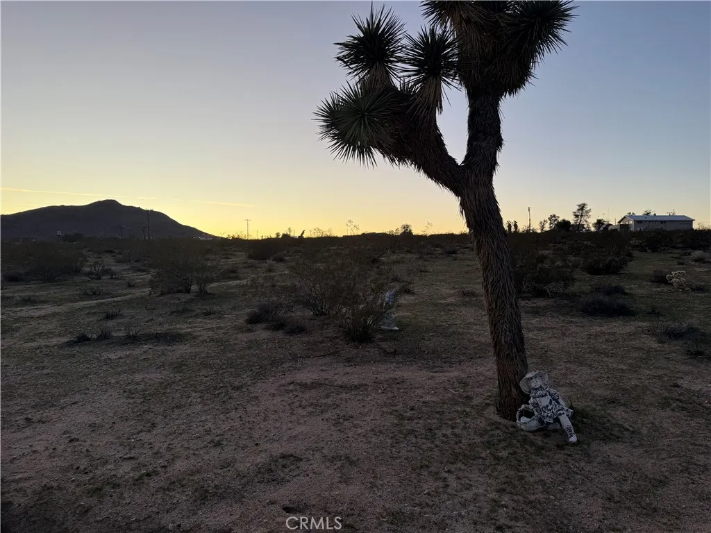 0 Campanula Street Joshua Tree, CA 92252 - Photo 14 of 20 a view of mountain with mountain in the background