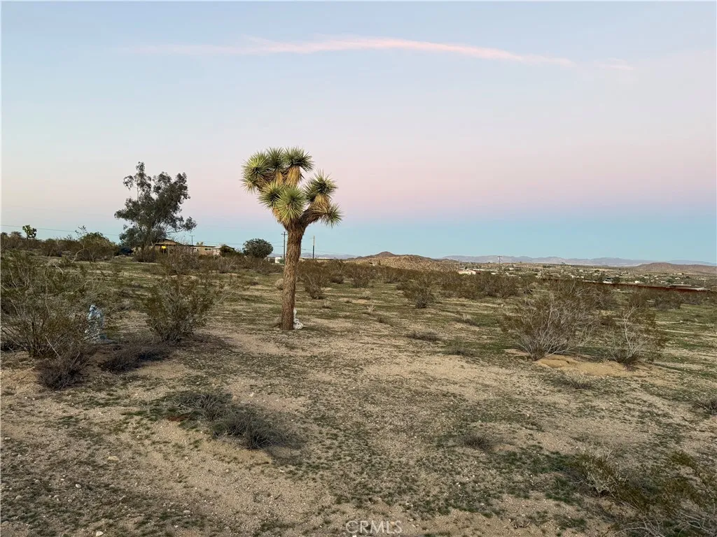 0 Campanula Street Joshua Tree, CA 92252 - Photo 15 of 20 a view of a dry yard with wooden fence