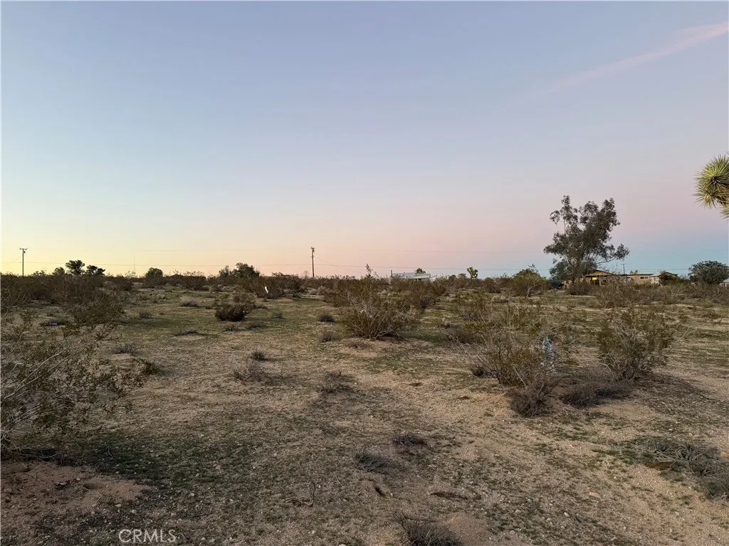 0 Campanula Street Joshua Tree, CA 92252 - Photo 16 of 20 a view of a field