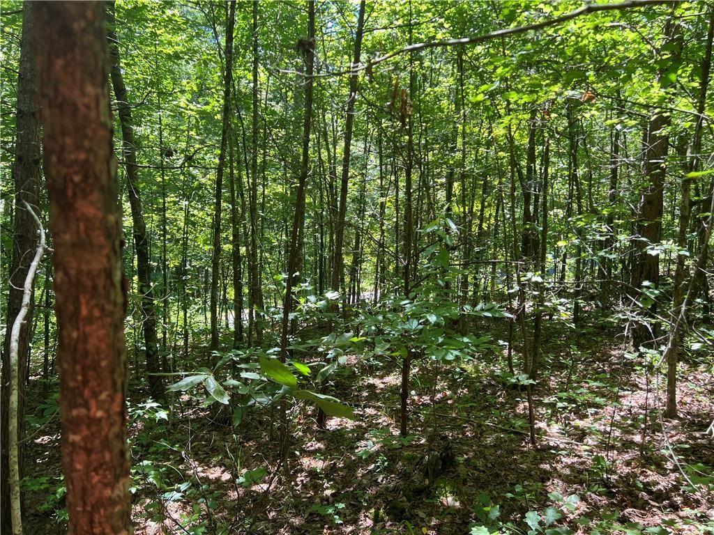 0 Fortner Road Ball Ground, GA 30107 - Photo 10 of 22