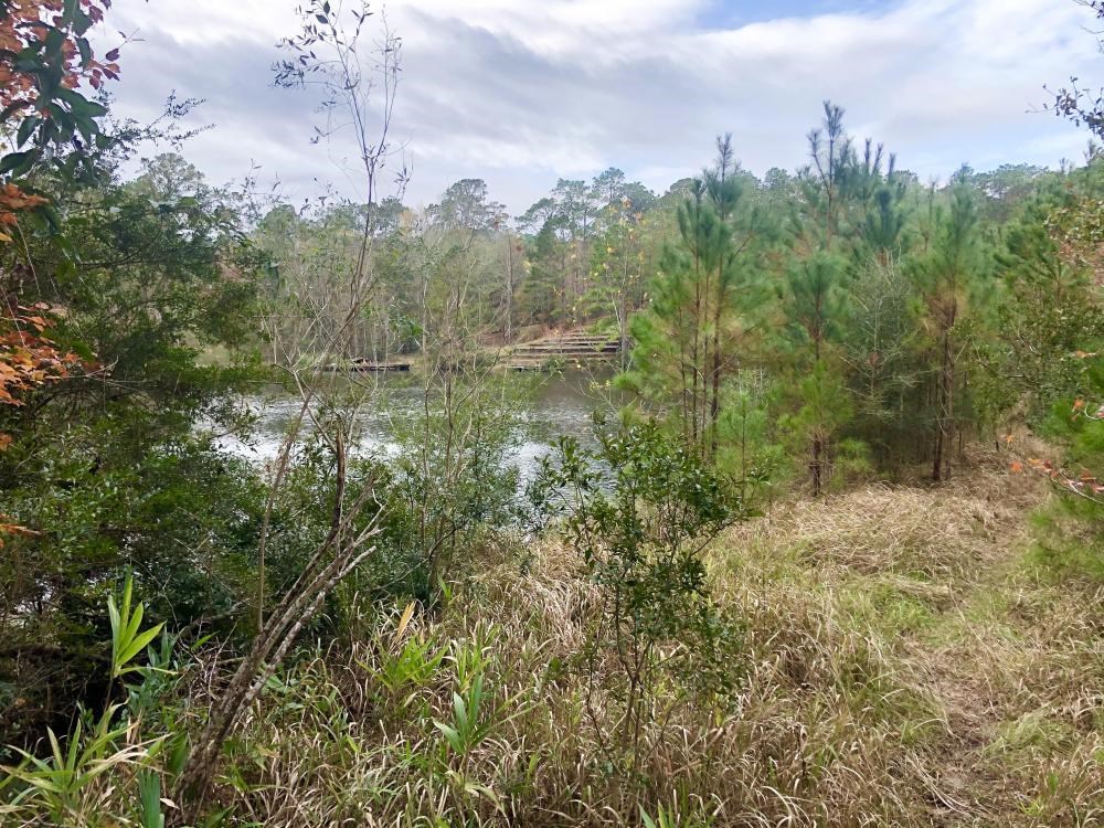 Tara Boulevard Daphne, AL 36527 - Photo 6 of 11