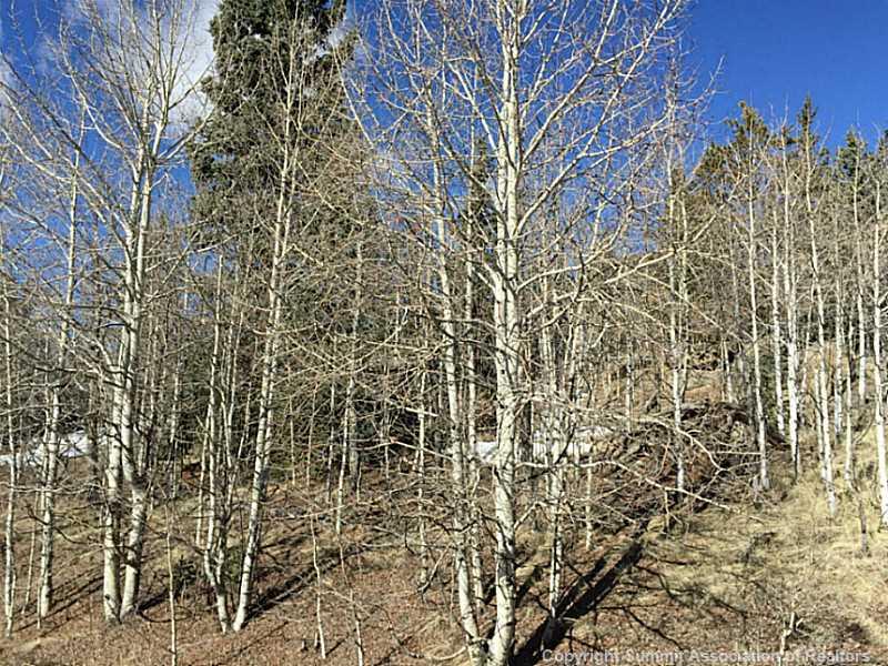 117 Kodiak Road Como, CO 80456 - Photo 2 of 17 Gallery Image 2