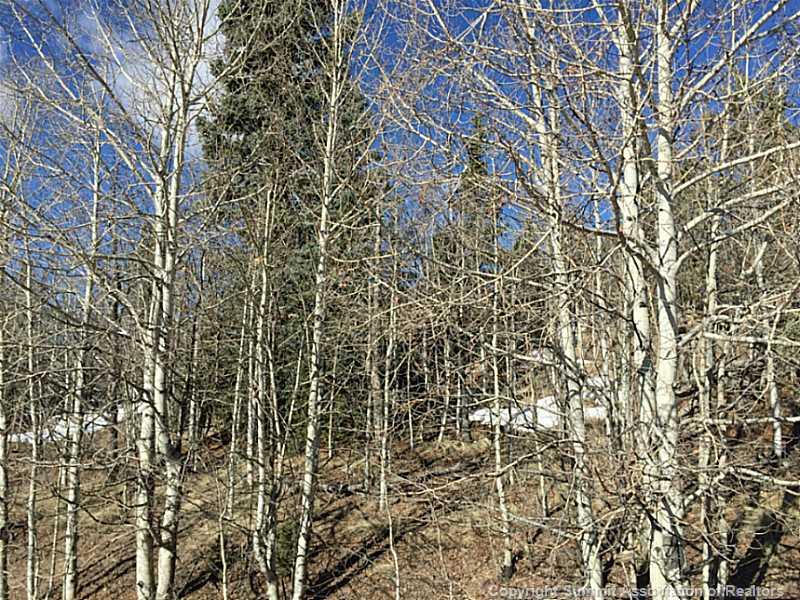 117 Kodiak Road Como, CO 80456 - Photo 12 of 17 Gallery Image 12