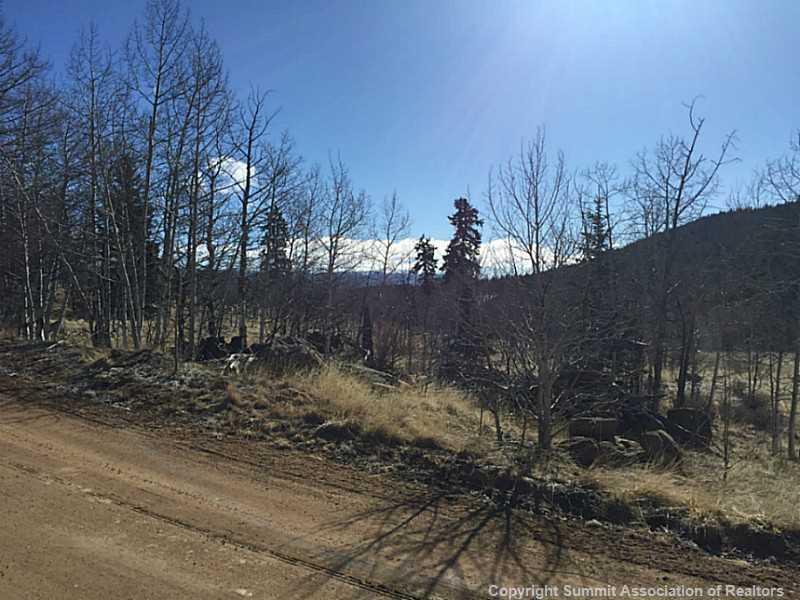 117 Kodiak Road Como, CO 80456 - Photo 16 of 17 Gallery Image 16