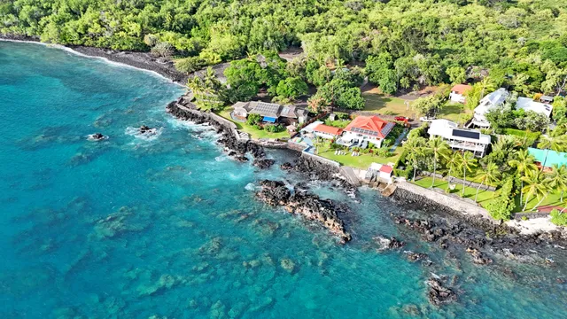 a picture of flowers