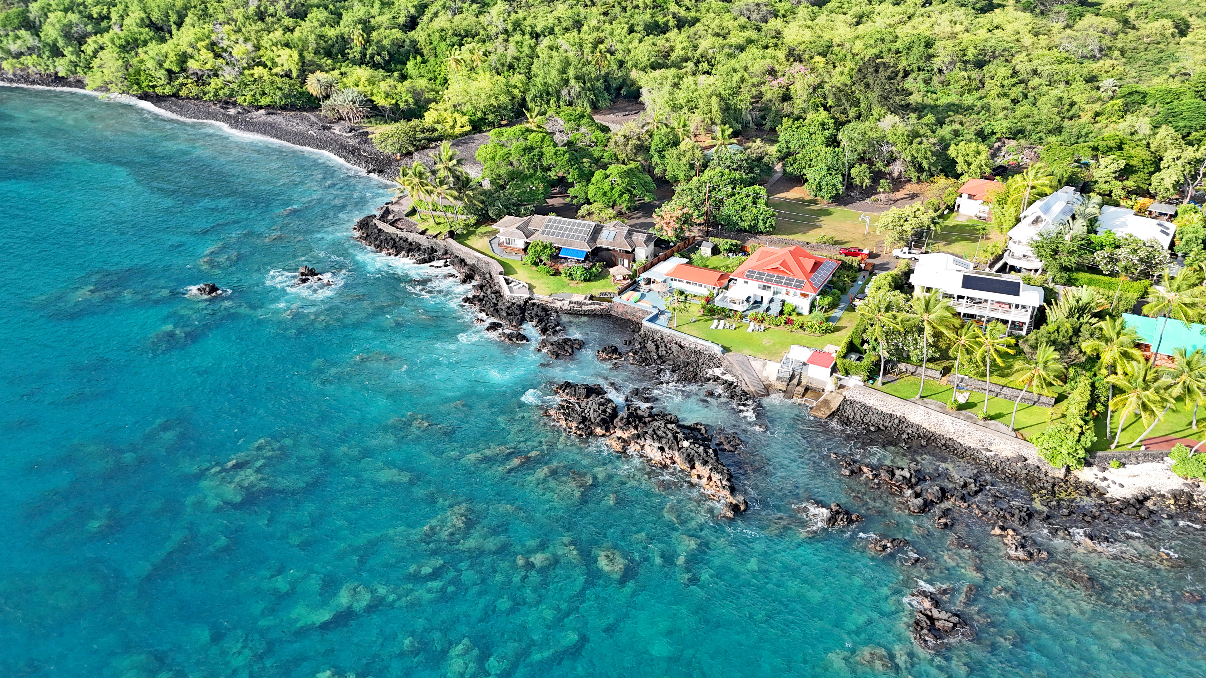 82-6047 Puuhonua Road Captain Cook, HI 96704 - Photo 4 of 25 a picture of flowers