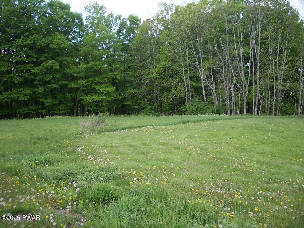 4 Avoy Heights Road Lake Ariel, PA 18436 - Photo 3 of 9