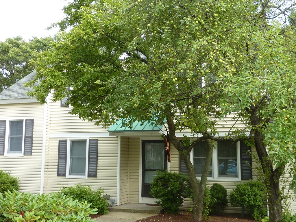 48 Victoria Heights Road, Unit 48 Boston, MA 02136 - Photo 1 of 9