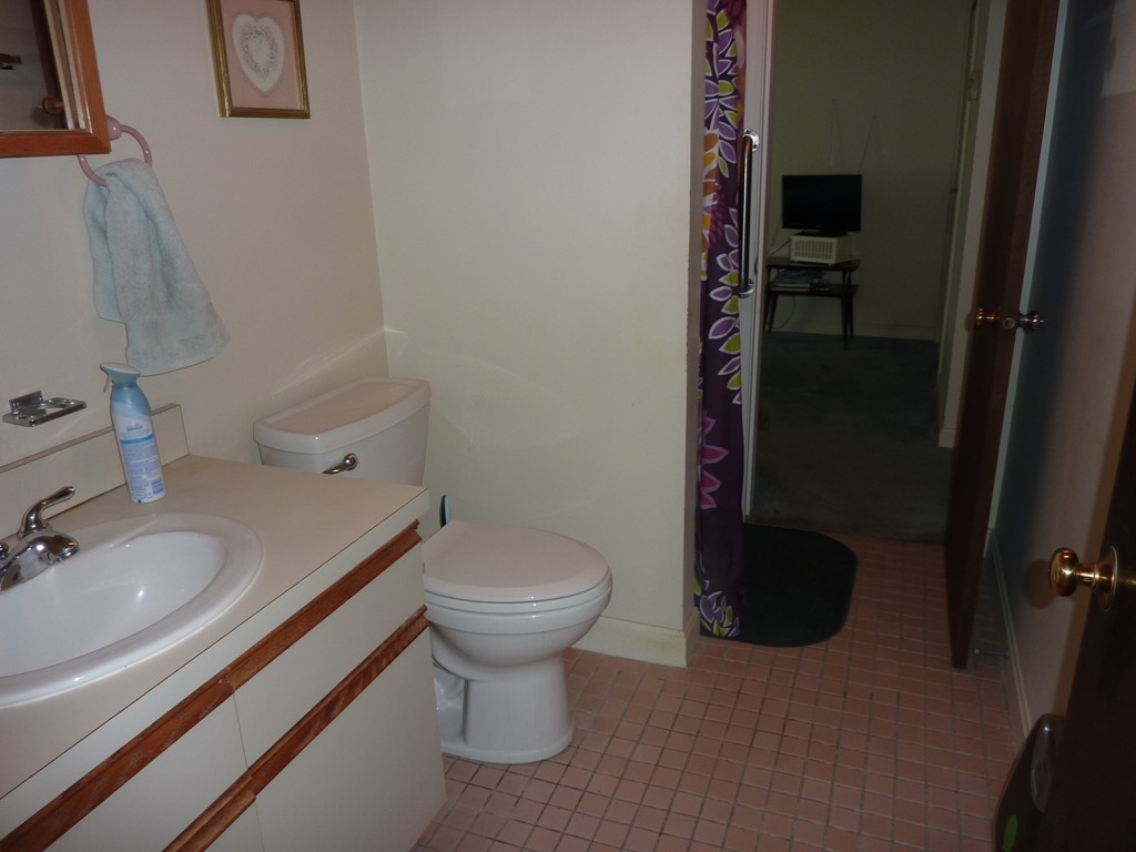 48 Victoria Heights Road, Unit 48 Boston, MA 02136 - Photo 4 of 9