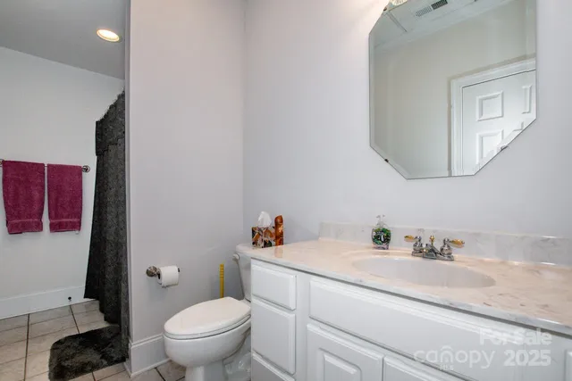 a bathroom with a sink toilet and vanity