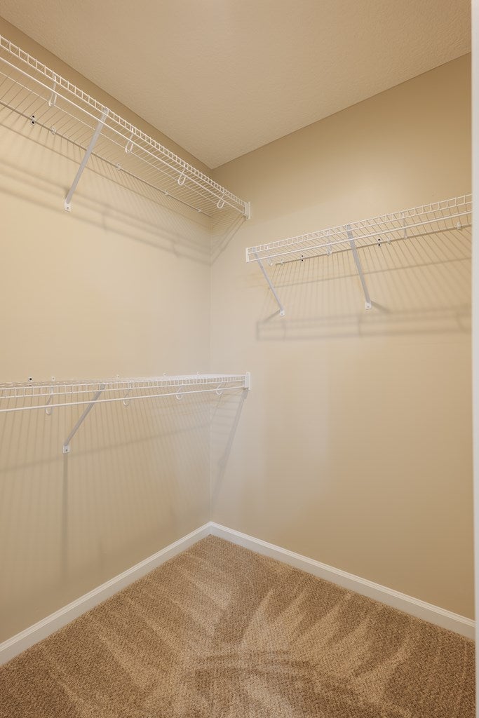 326 Trail Of Hawk Road Quitman, GA 31643 - Photo 19 of 32 Gallery Image 19