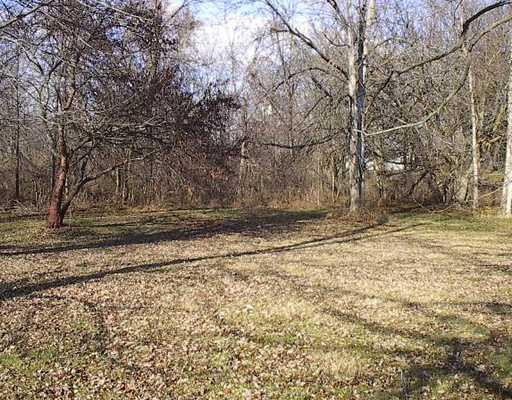 559 Mooreville Road Milan, MI 48160 - Photo 3 of 6 Photo 3