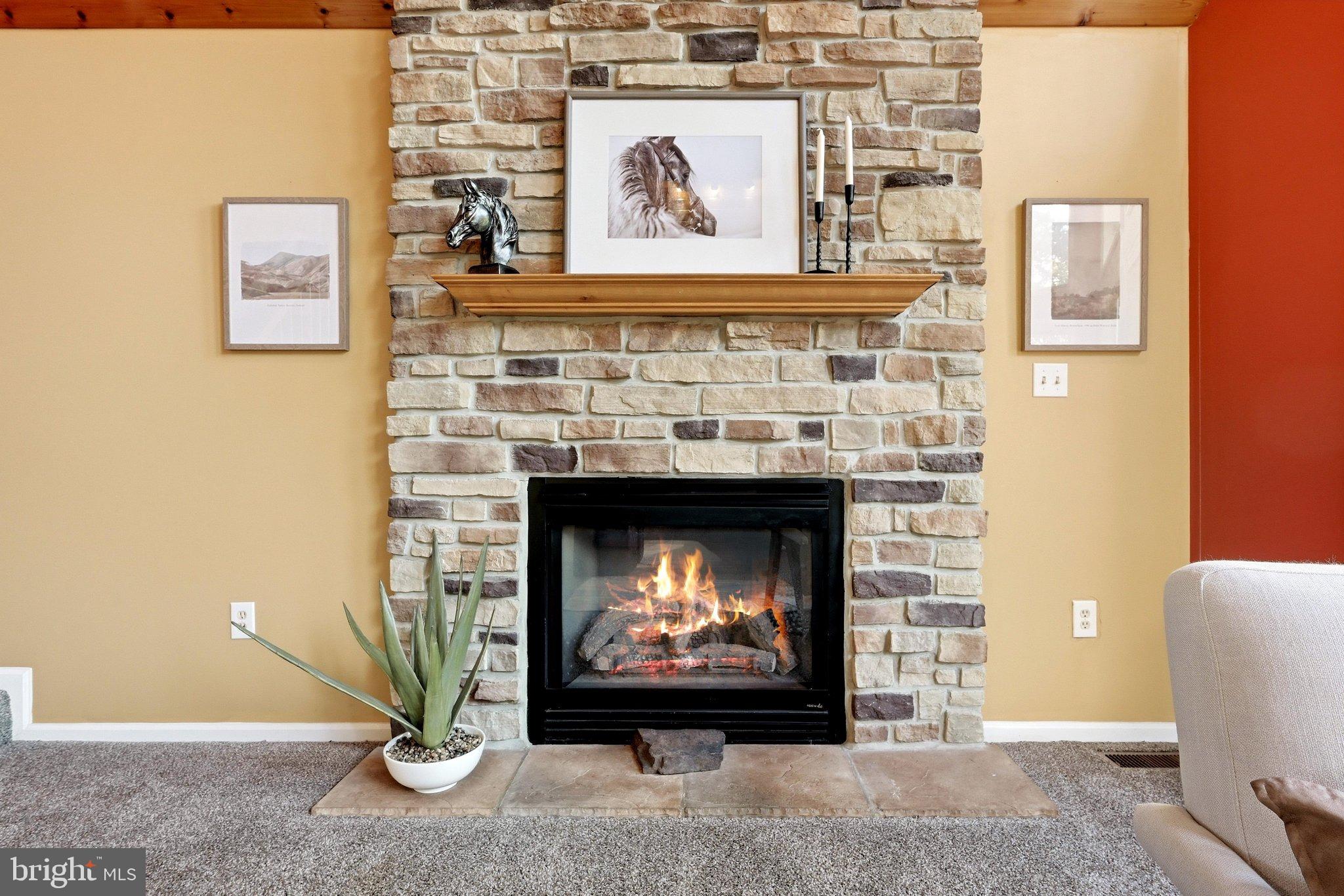 337 Chestnut Trail Road Front Royal, VA 22630 - Photo 17 of 56 Fireplace