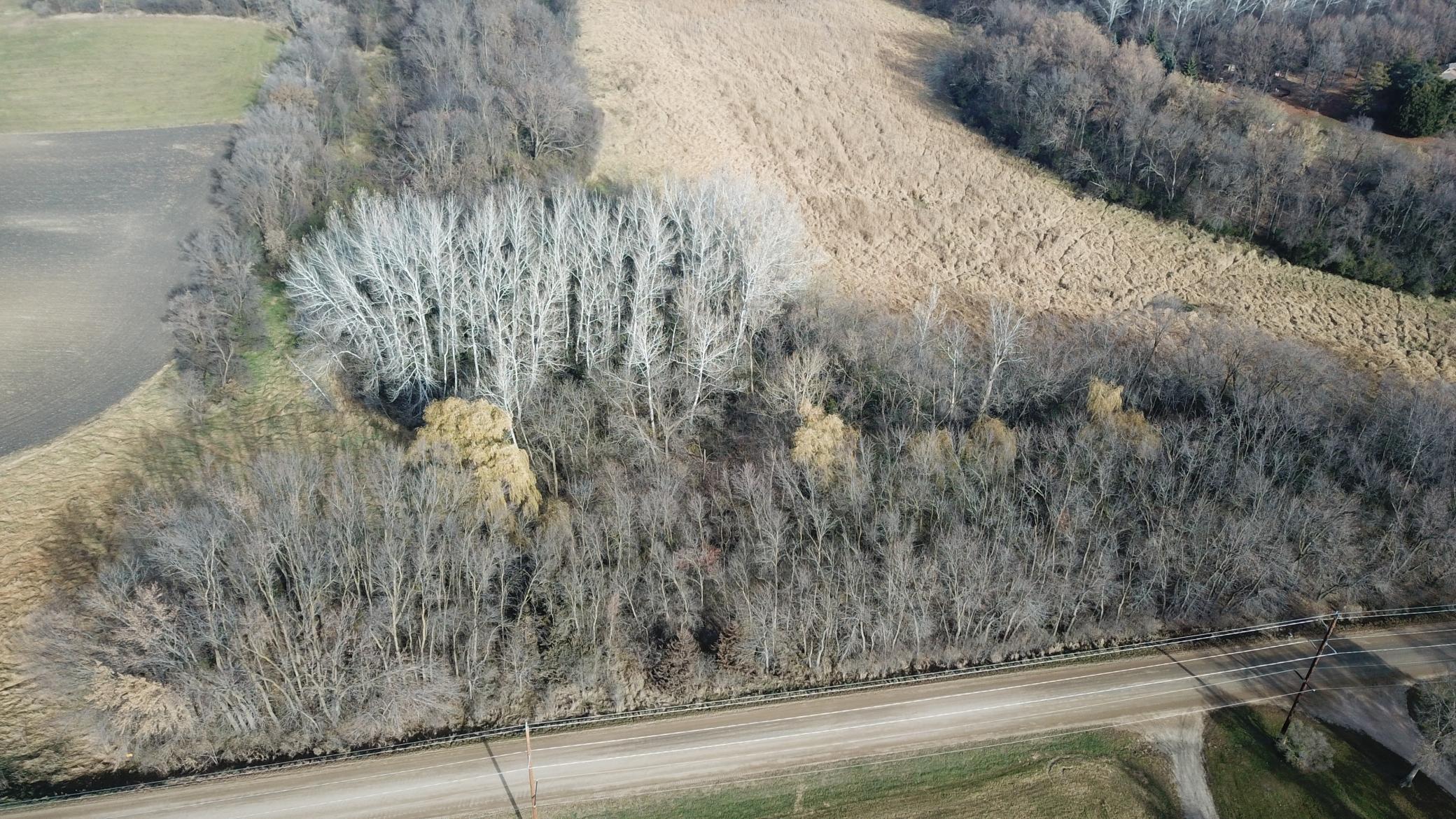 Tbd 72nd Street Southwest Howard Lake, MN 55349 - Photo 2 of 14