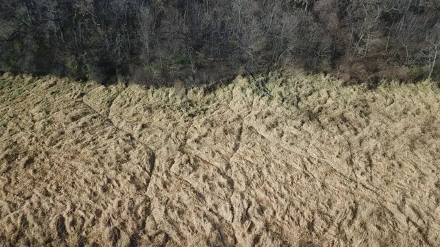 $220,000 | Tbd 72nd Street Southwest, Howard Lake, MN 55349