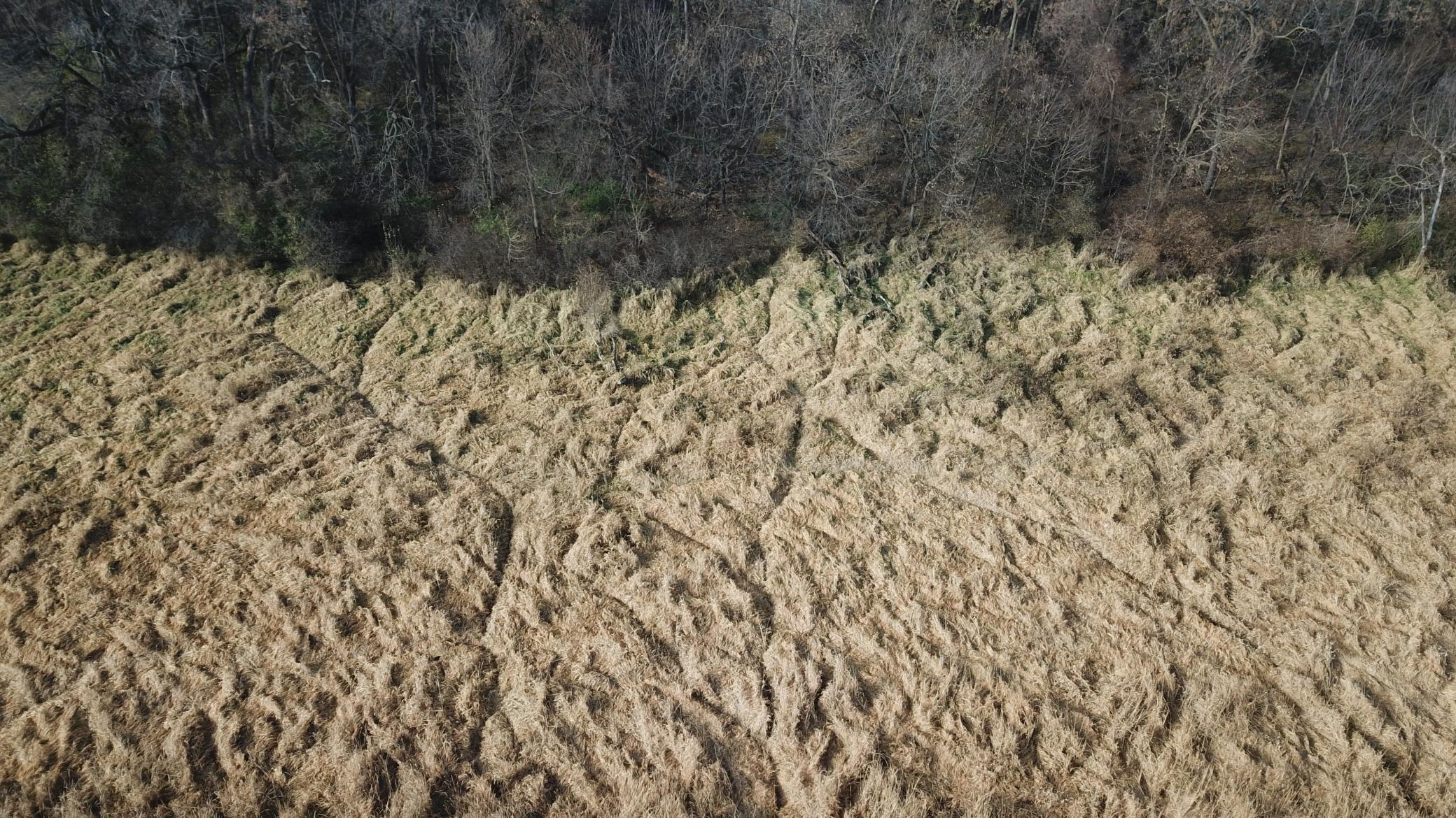 Tbd 72nd Street Southwest Howard Lake, MN 55349 - Photo 5 of 14