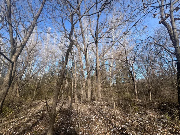 $220,000 | Tbd 72nd Street Southwest, Howard Lake, MN 55349