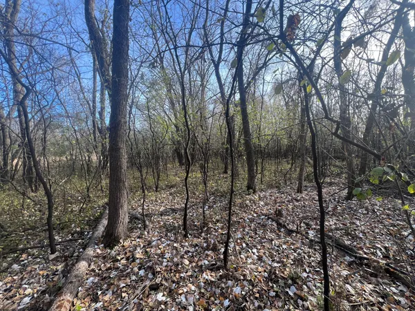 $220,000 | Tbd 72nd Street Southwest, Howard Lake, MN 55349