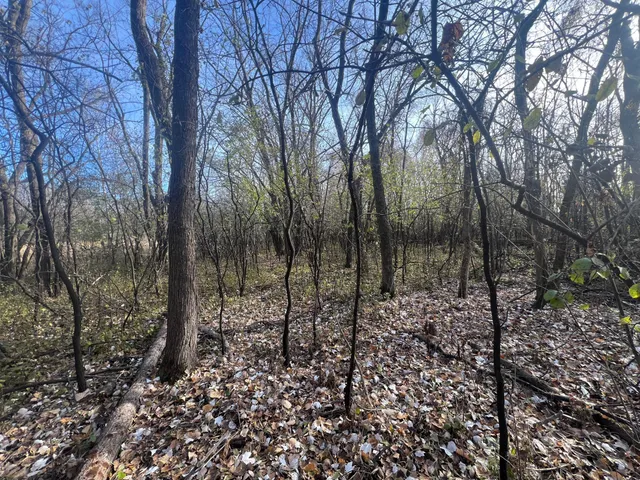 $220,000 | Tbd 72nd Street Southwest, Howard Lake, MN 55349