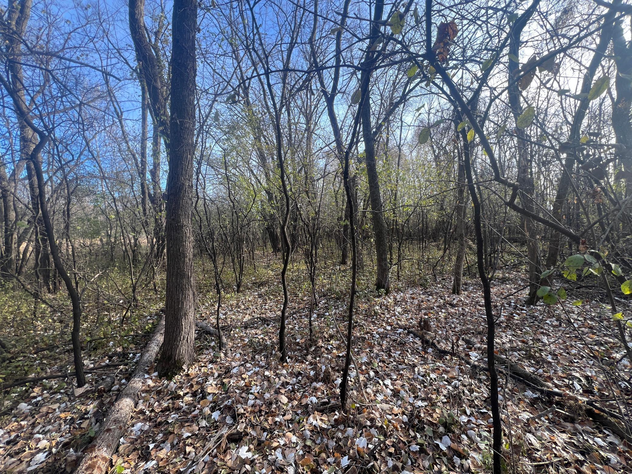 Tbd 72nd Street Southwest Howard Lake, MN 55349 - Photo 8 of 14
