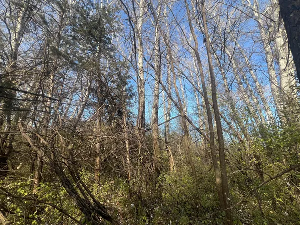 $220,000 | Tbd 72nd Street Southwest, Howard Lake, MN 55349