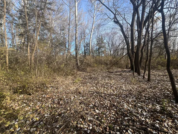 $220,000 | Tbd 72nd Street Southwest, Howard Lake, MN 55349