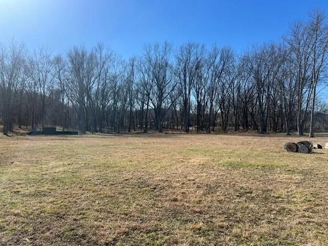 a view of swimming pool with trees in the background