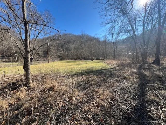 a view of a yard with a tree