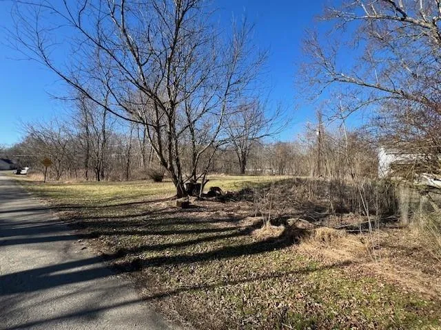 a view of a yard with a house