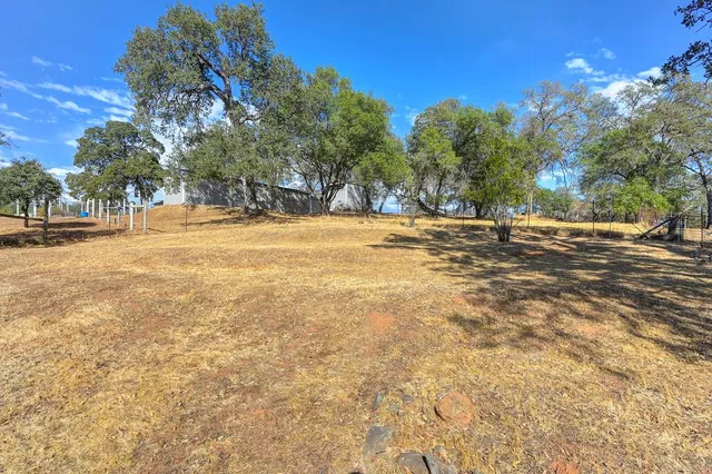 a view of a yard with a tree