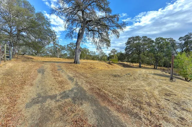 a view of empty space with trees